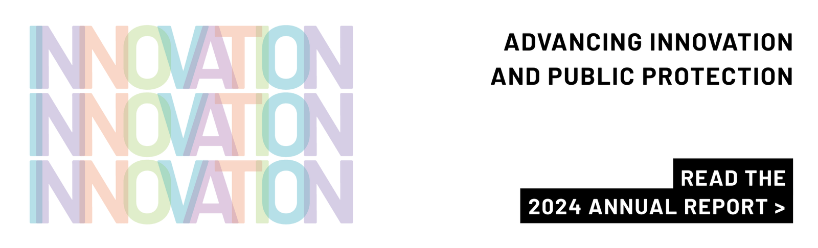 Annual Report 2024